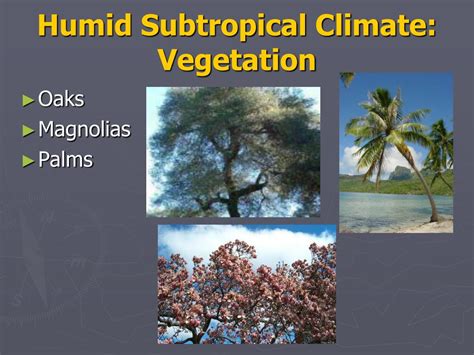 PPT - Climate Zones and Vegetation PowerPoint Presentation, free ...