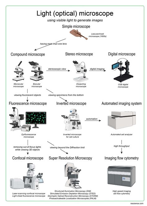 Different types of Microscopes – light microscope, electron microscope, scanning probe ...