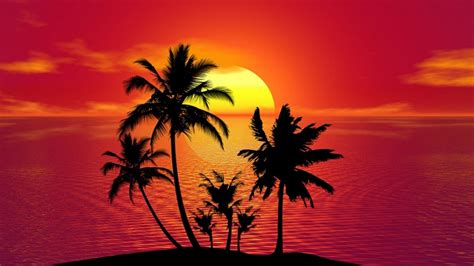 red palm tree wallpaper - Doreatha Carlisle