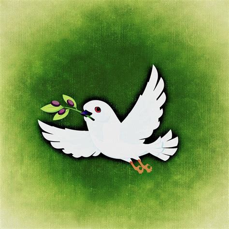 Free illustration: Dove, Peace Dove, Luck - Free Image on Pixabay - 701119