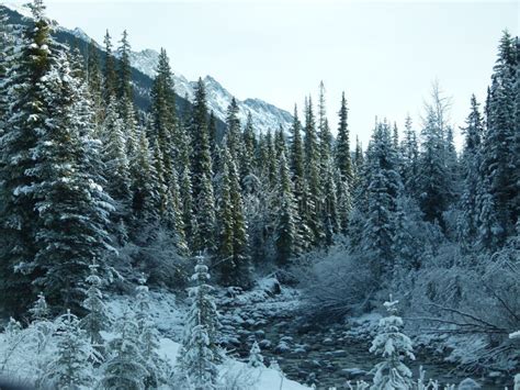 Winter Wonderland Around Maligne Lake Stock Photo - Image of trees, colors: 107490894