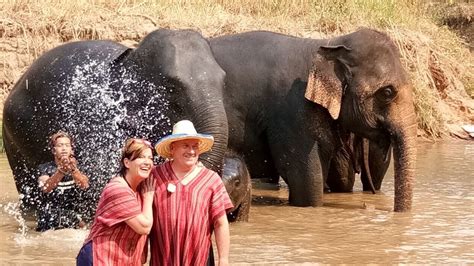 Half Day Elephant Bathing & Short Trekking Tour in Chiang Mai - TakeMeTour