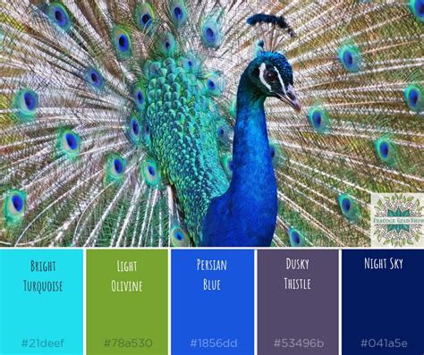 Color Palette Swatches Of Iridescent Coloration Of The Peacock Posters For The Wall • Posters ...