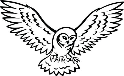 Snowy Owl Drawing | Free download on ClipArtMag