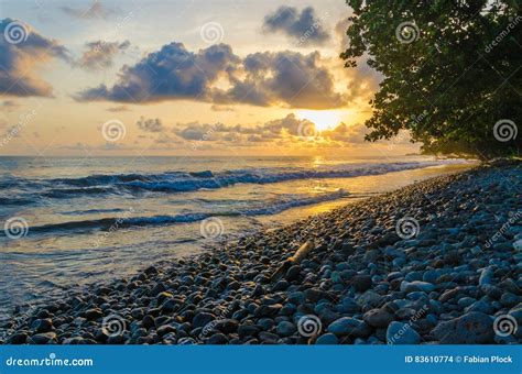 Dramatic Coast with Rocky Volcanic Beach, Green Tree, Waves and Amazing ...