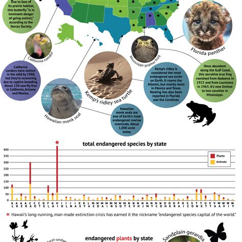 Which U.S. States Have the Most Endangered Species? [Infographic]