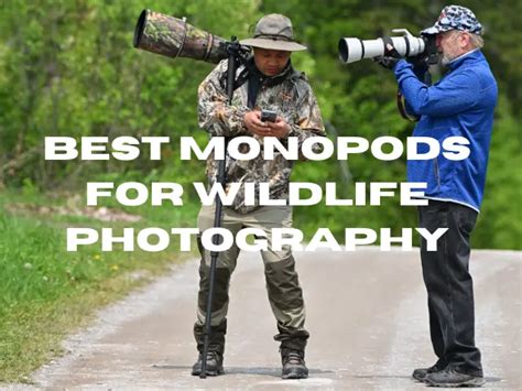 Best Monopod for Wildlife Photography in 2023