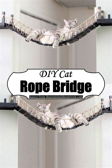 9 DIY Cat Bridge Ideas For Feline Pet Owners - DIYsCraftsy