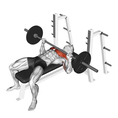 Chest Press Machine: Benefits, Muscles Worked, and More - Inspire US