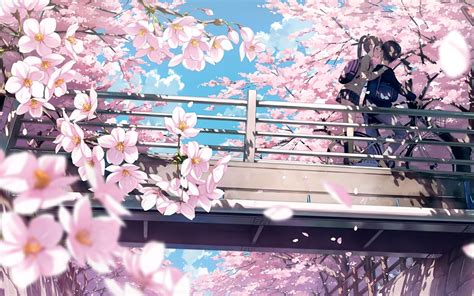 Anime Cherry Blossom 4K Wallpapers - Top Free Anime Cherry Blossom 4K Backgrounds - WallpaperAccess