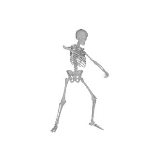 Dancing Skeleton GIFS | Dank Memes Amino