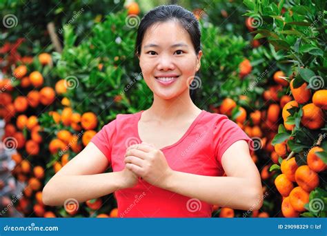 Happy chinese new year stock image. Image of green, fruit - 29098329