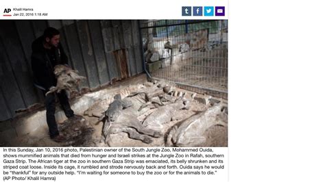 Petition · Save the starving animals of the Gaza Zoo · Change.org