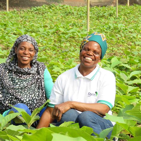 Landscape restoration of indigenous forest in Ghana - DOB Ecology