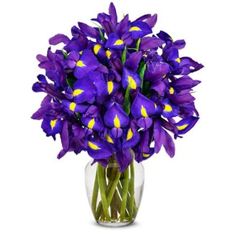 Purple Iris Bouquet ART among the FLOWERS, Palm Coast Florist, Same Day ...