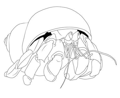Hermit Crab - Coloring Pages
