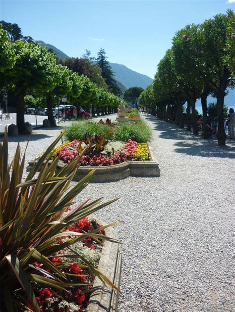 an outdoor garden with lots of flowers and trees