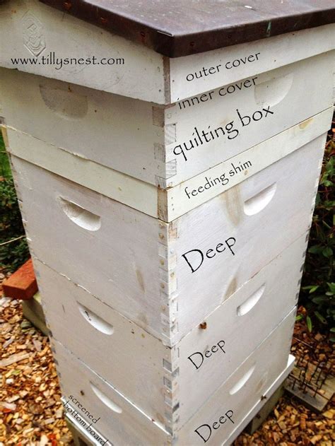 DIY: Winter Beehive Quilting Box | Bee keeping, Bee hive, Backyard bee