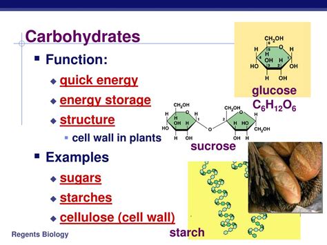 what is the function of carbohydrates Carbohydrates function sugar ...