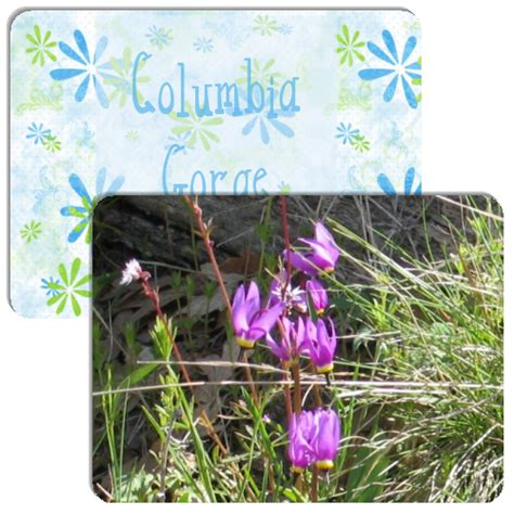 Columbia Gorge Wildflowers - Match The Memory