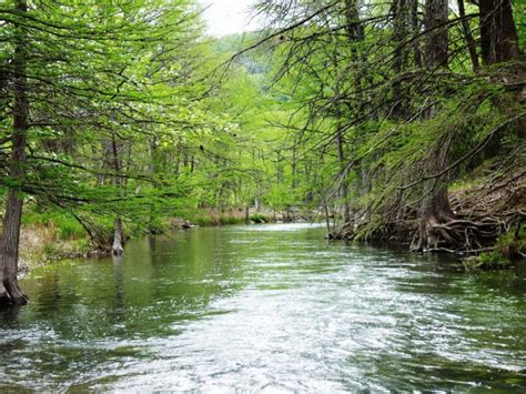 Riparian Habitat - Project Watershed