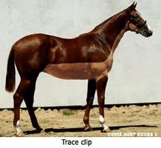 Horse Clipping on Pinterest | Horses, Superman and Puzzles