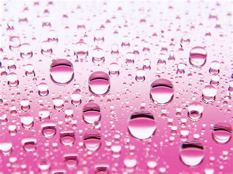 🔥 Free download Pink Bubble HD Backgrounds [1600x1200] for your Desktop, Mobile & Tablet ...
