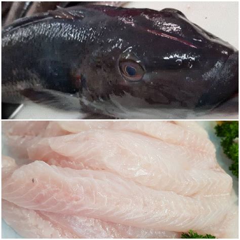 Blue Cod - Fillets, Skinned and Boned - Wellington Seamarket