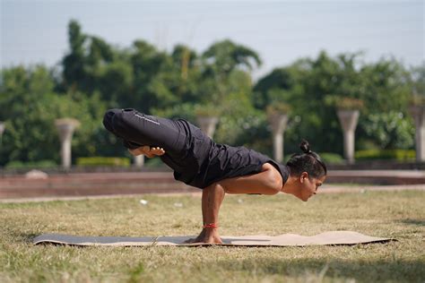 Lotus Peacock Pose (Padam Mayurasana) - PixaHive