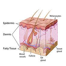 Morsicatio buccarum (chronic cheek biting, chronic cheek chewing) - Causes, Symptoms, Treatment ...