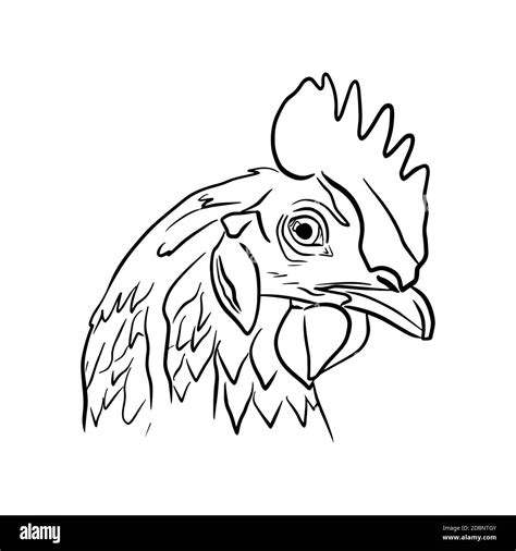 Ice Cream Outline Clipart Of Rooster