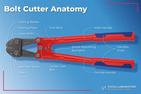 8 Best Bolt Cutters — Buyer's Guide (2025) – Tools Laboratory