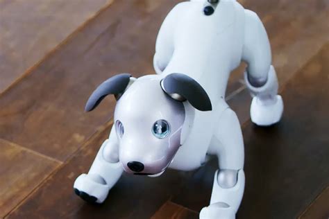 sony revives aibo the robot dog, a puppy bot with a perpetually ...