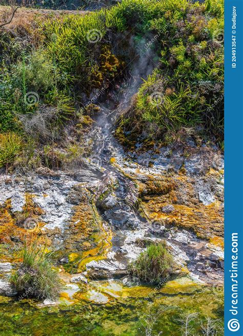 Fumaroles at Waimangu Volcanic Valley in New Zealand Stock Image ...