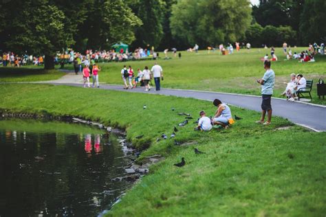 Feeding the pigeons · Free Stock Photo