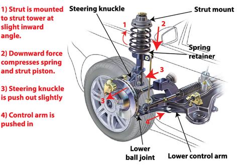 Shock And Strut Diagram