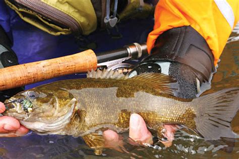 Untouched Fishing On The Remote Owyhee River | Kayak Angler