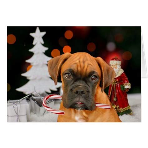 Christmas Boxer dog Greeting card | Zazzle