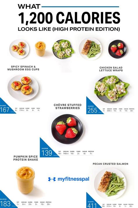 1200 Calorie A Day Diet And Not Losing Weight - Diet Poin