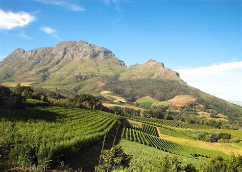 Visit The Winelands, South Africa | Tailor-made Vacations | Audley Travel US