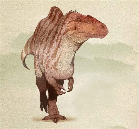 Acrocanthosaurus atokensis; Early Cretaceous Aptian to Albian (116110 Ma) | Prehistoric wildlife ...