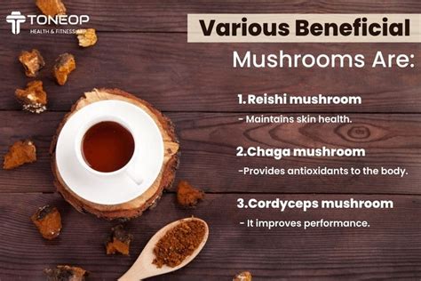 The Benefits of Mushroom Coffee for Athletes - Mushroom Sips