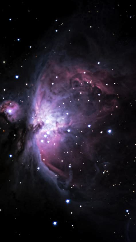 Orion Nebula - backiee