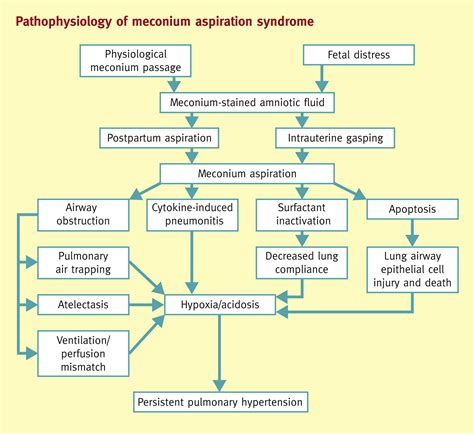 Meconium in labour - Obstetrics, Gynaecology and Reproductive Medicine