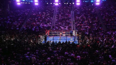 Watch Any Boxing Fight Live Stream Free