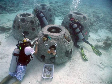 Kota Kinabalu (Malaysia) plants 200 Reef Balls