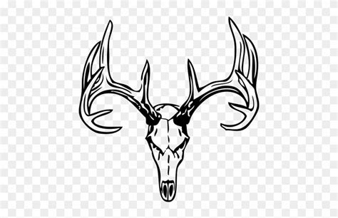 Details more than 83 mule deer skull tattoo - in.eteachers