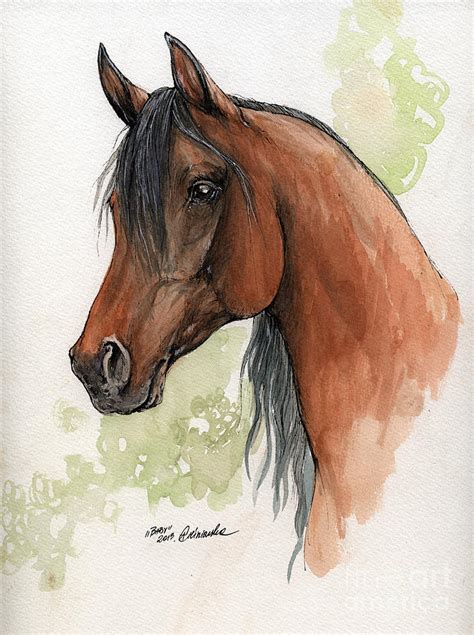 Bay Arabian Horse Watercolor Painting 16 07 2013 Painting by Angel ...