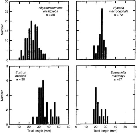 Aptenodytes forsteri. Numerical distribution of total length of... | Download Scientific Diagram