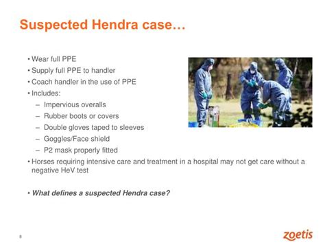 PPT - Hendra virus and the Hendra virus vaccine PowerPoint Presentation ...